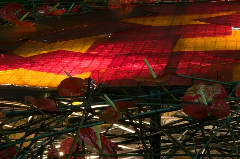 La Creació (detalle: Fuego)