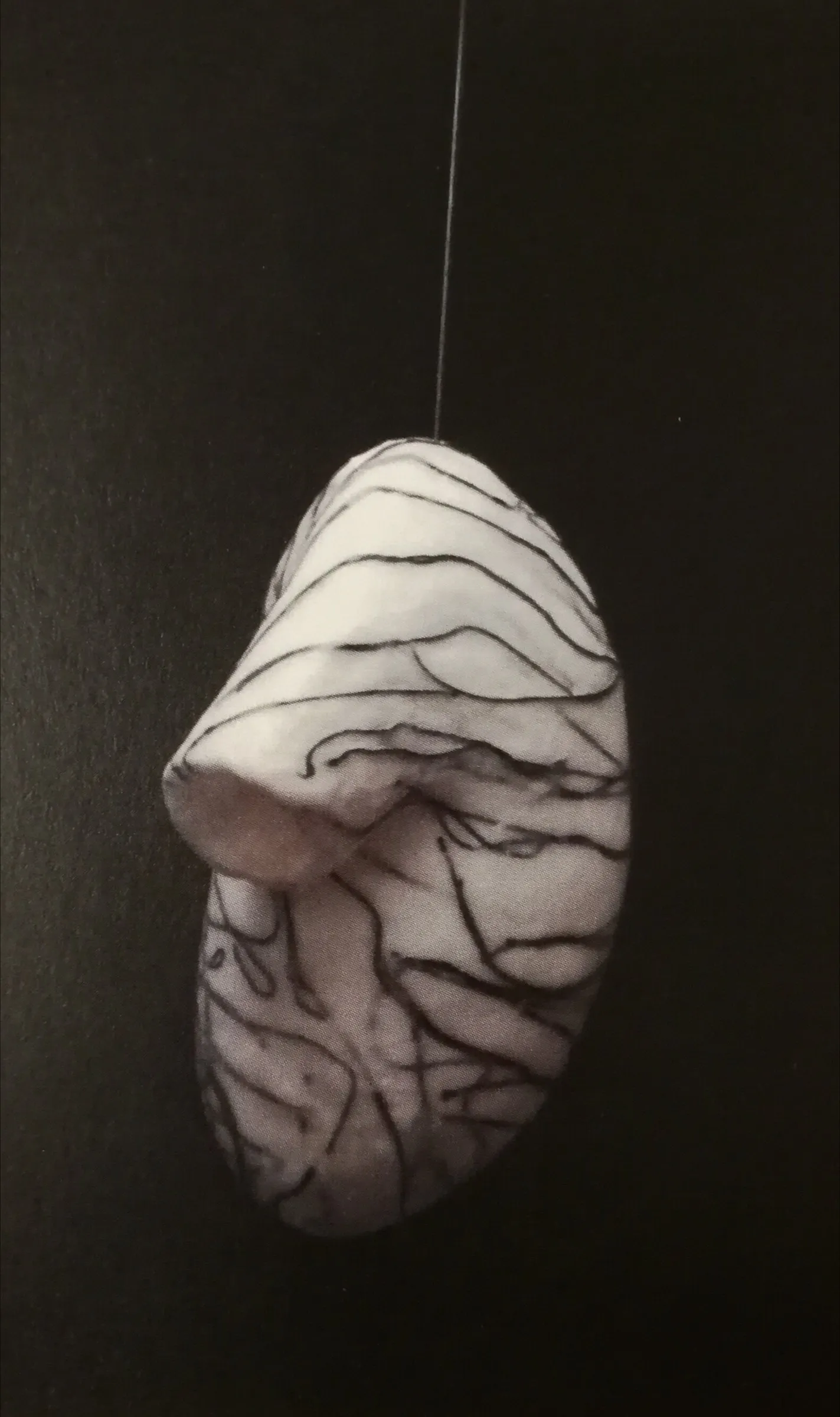 Silencios